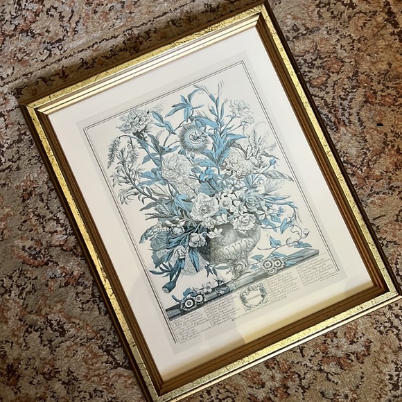 Vtg SEPTEMBER from Twelve Months of Flowers by Robert Furber (C.1674-1756)CANADA - Picture 14 of 15